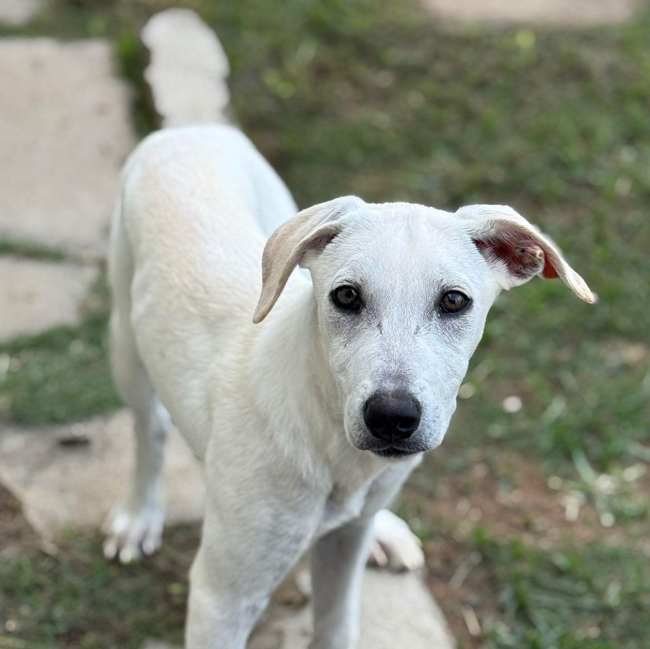 Crayola "will Color Your