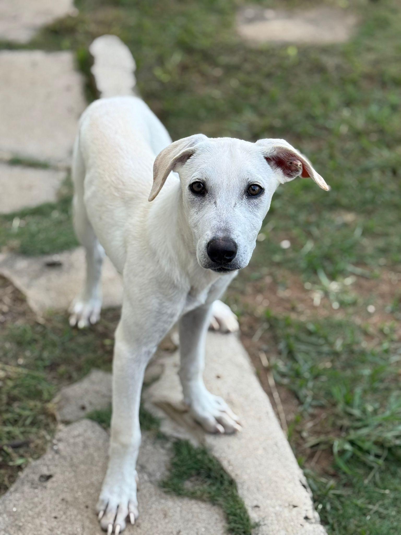 Crayola "will Color Your thumbnail 4