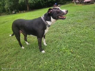 Remy photo 3