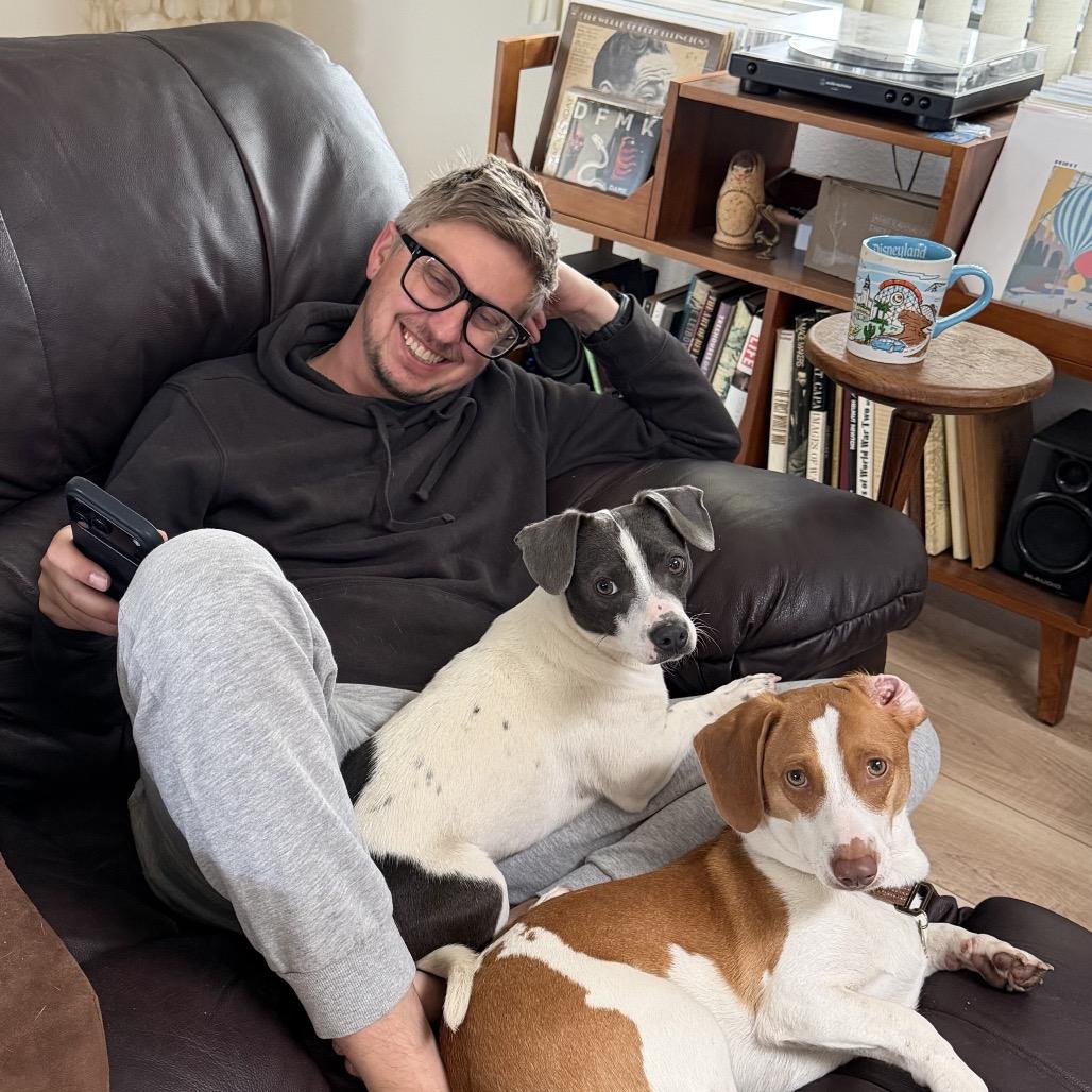 Enlarge Stewart Little, a Adoptable mixed breed in San Diego, CA image 3/6