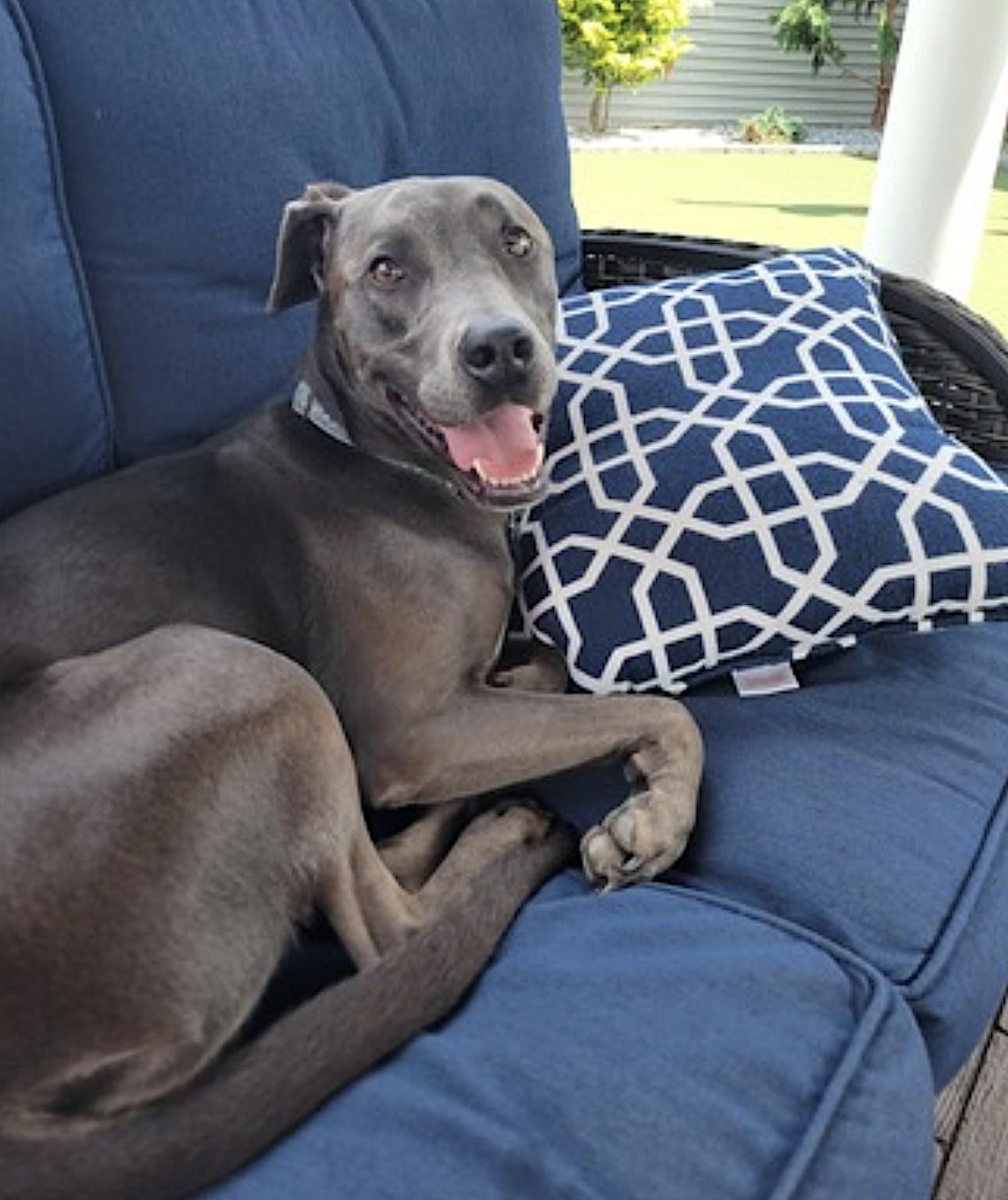 Jade — thumbnail 3