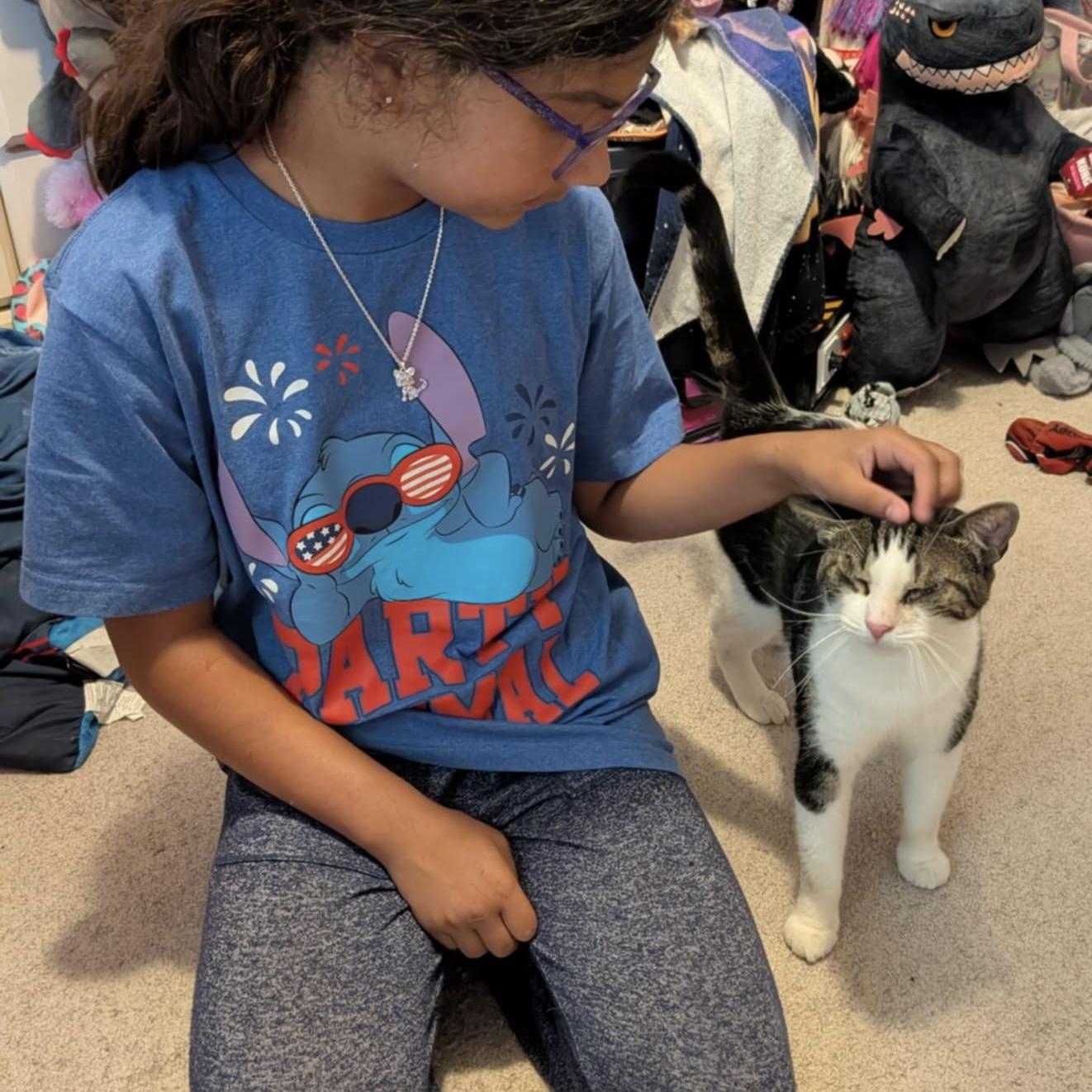 Cookie Dough, a Adoptable Domestic Short Hair in Westville, NJ image 5/5