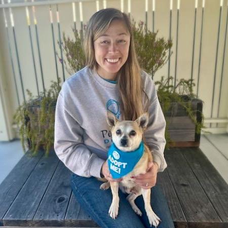 Nougat, a Adoptable Chihuahua in Pacific Grove, CA image 3/6