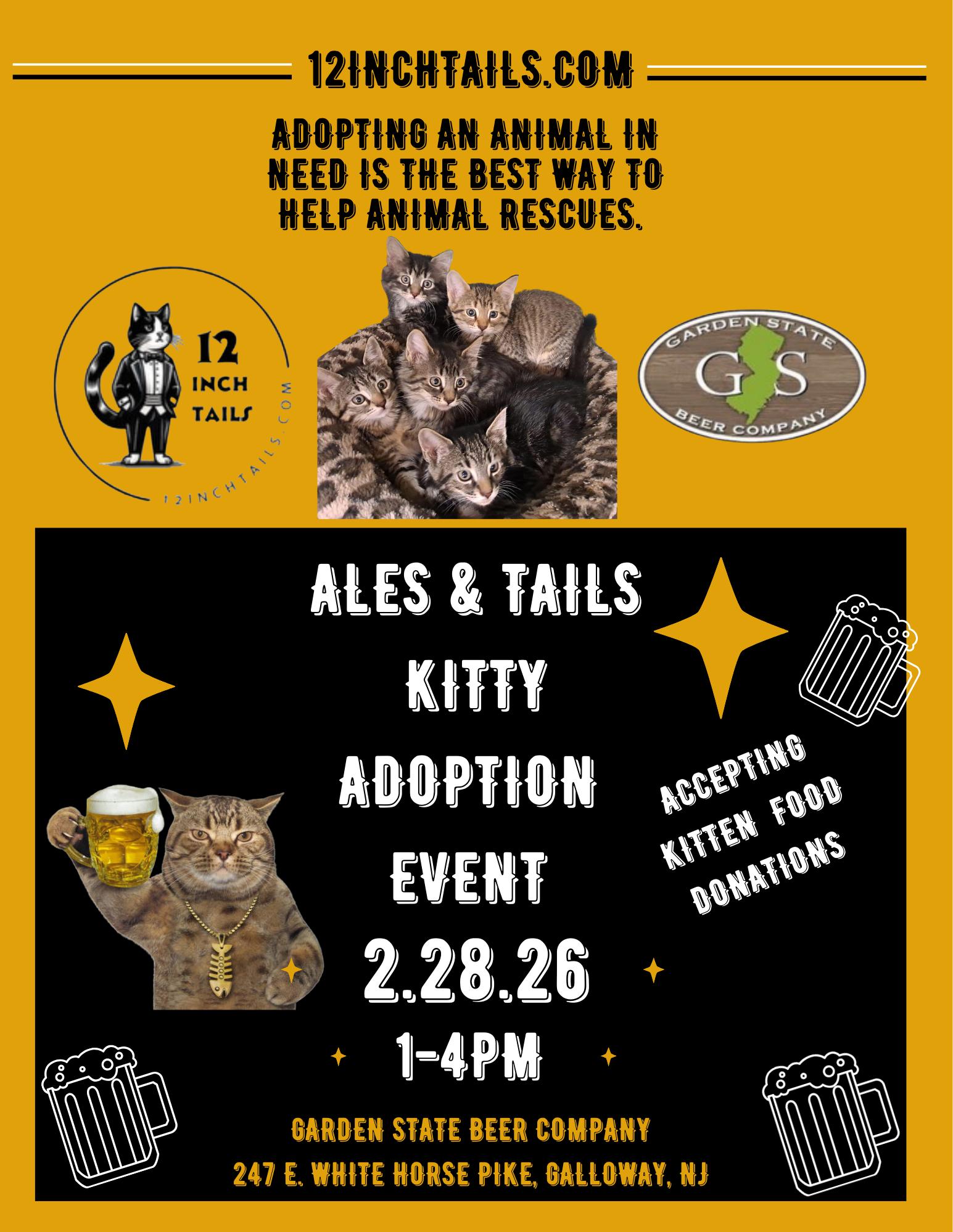 Enlarge Bingo, an adopted Domestic Short Hair in Galloway, NJ image 6/6