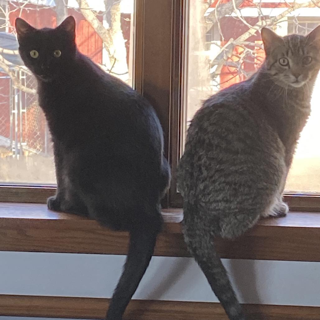 Soot — thumbnail 3