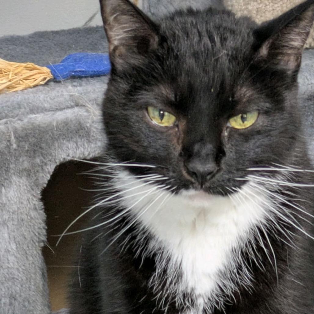 Mona — thumbnail 4