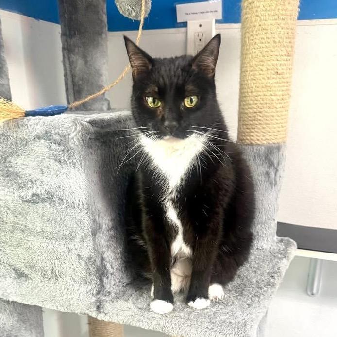 Mona — thumbnail 5