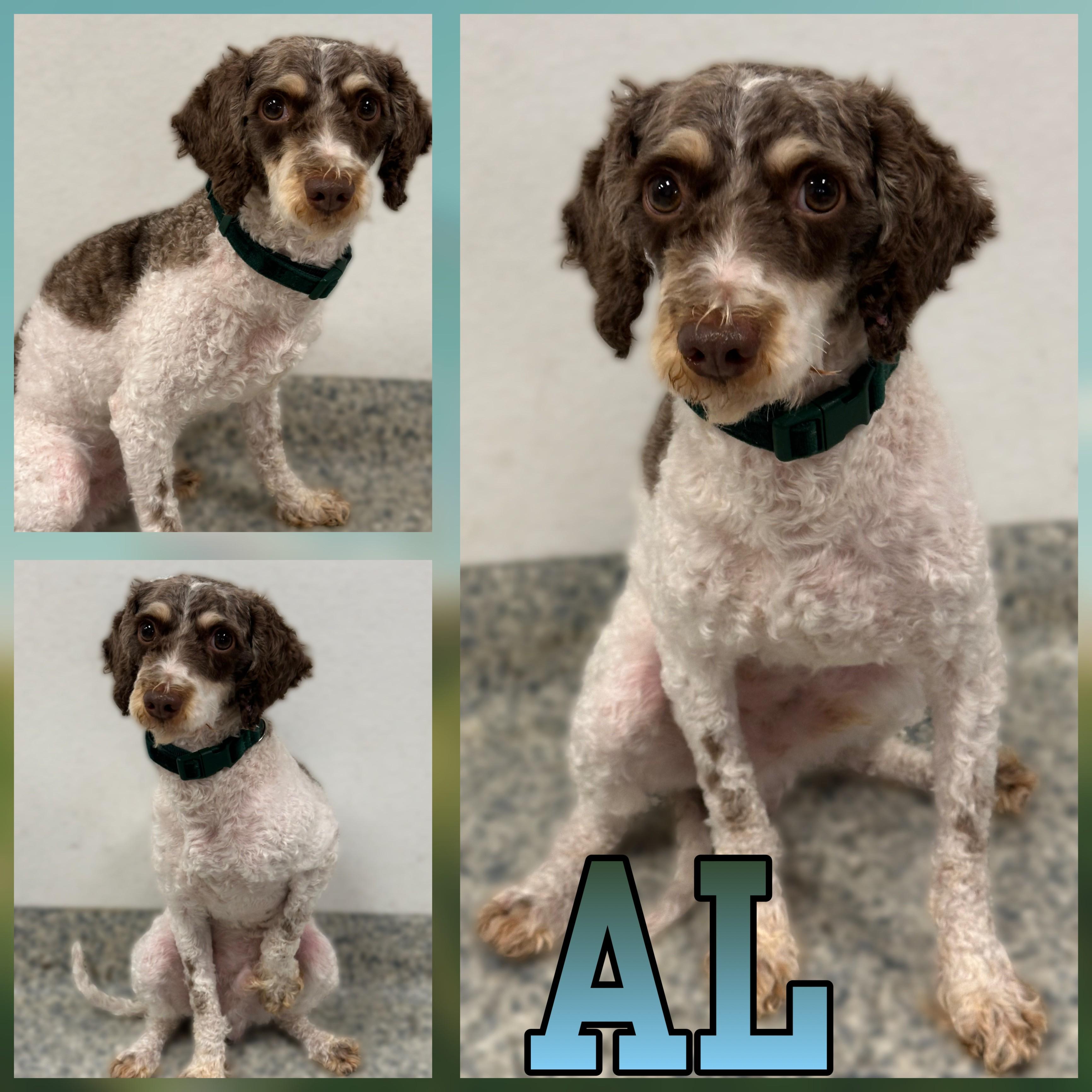 AL