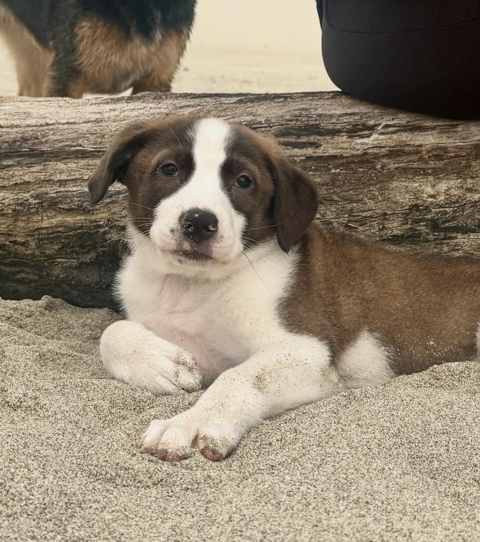 Dory, Baby Female unknown