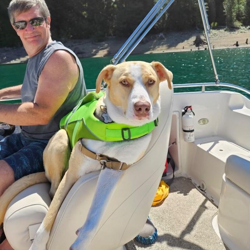 JJ Ryder a Straight Up Dude Dog — thumbnail 2