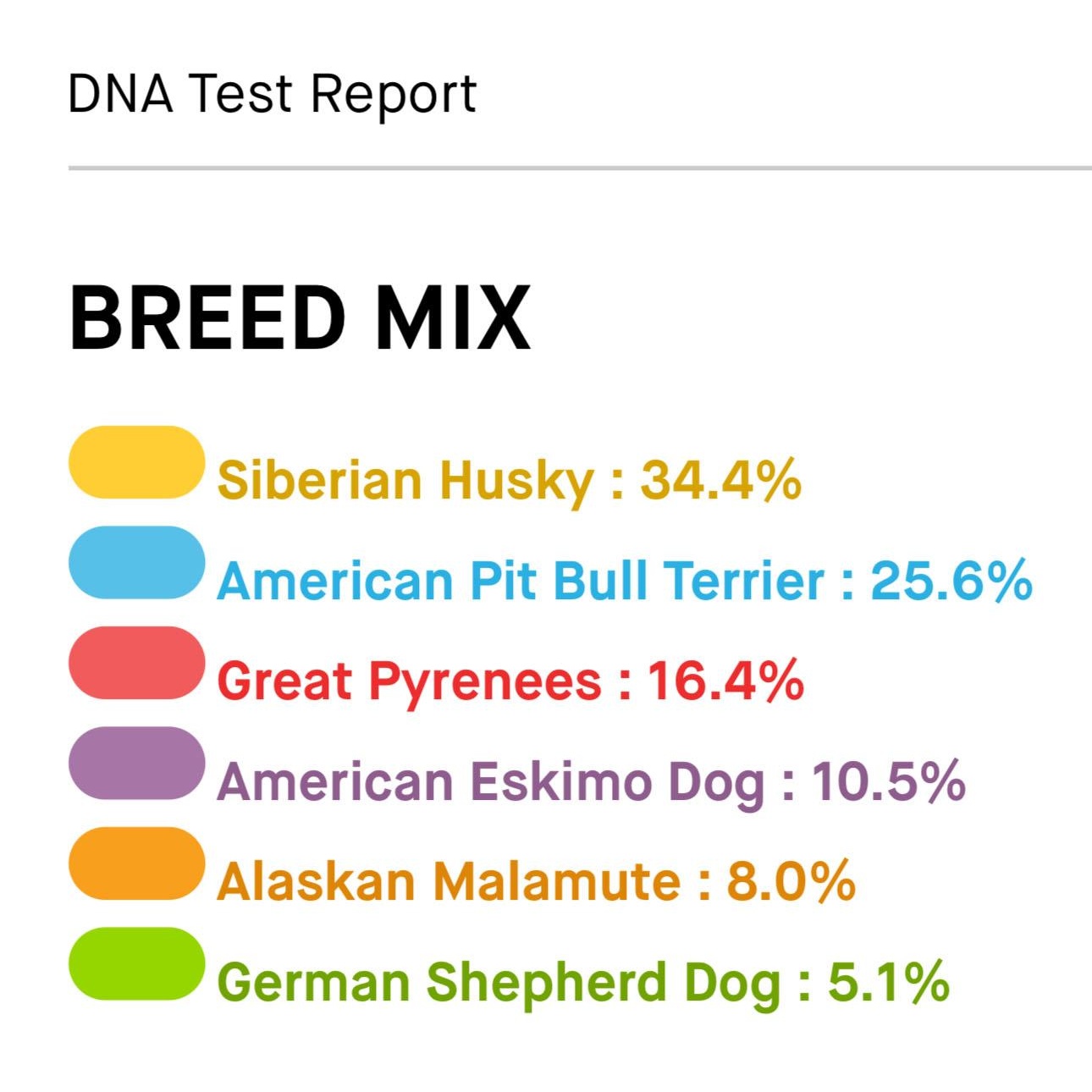 MOZART, a Adoptable mixed breed in Weatherford, TX image 2/4