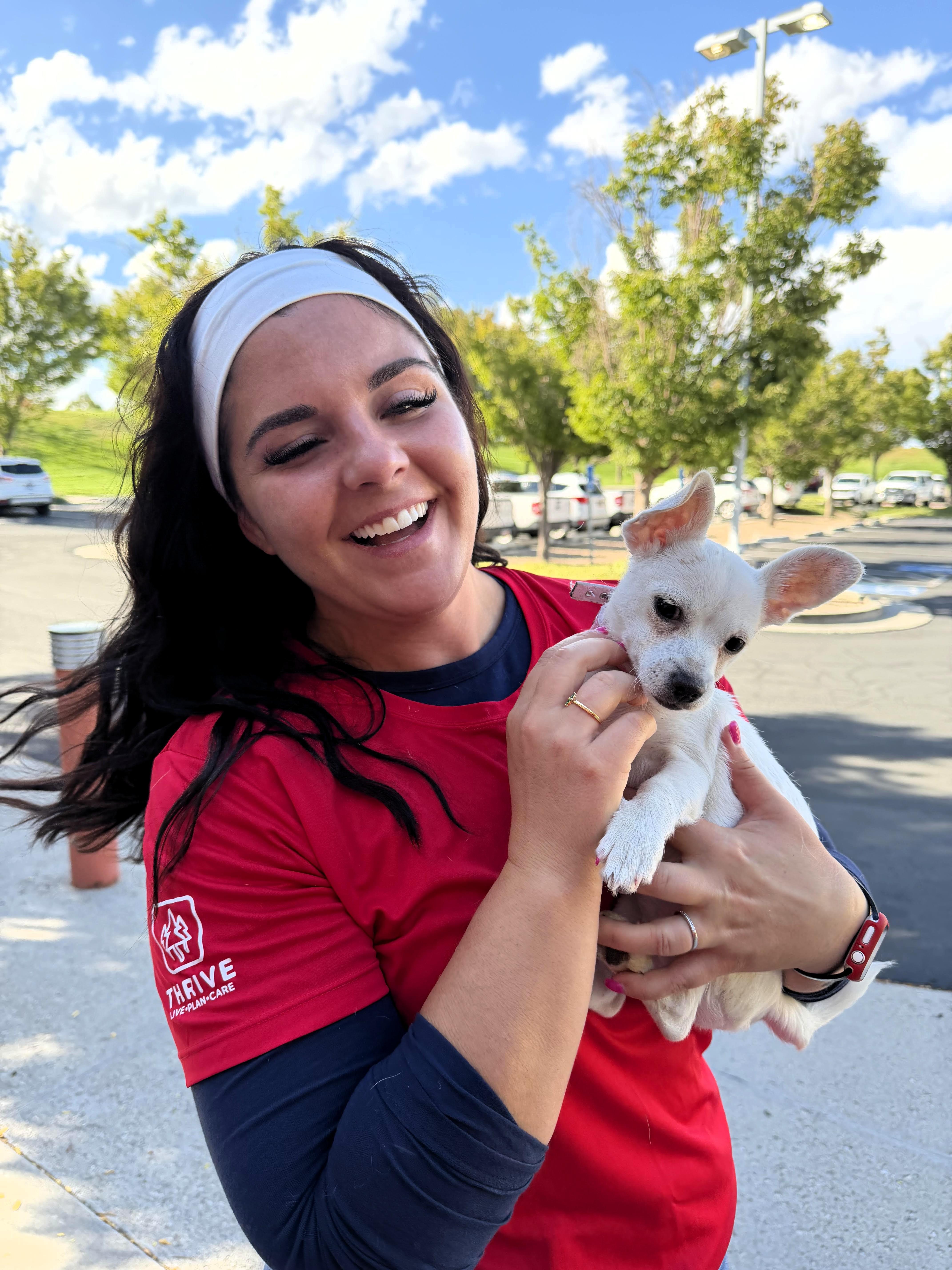 Enlarge Blanche, a Adoptable Chihuahua in Salt Lake City, UT image 3/5