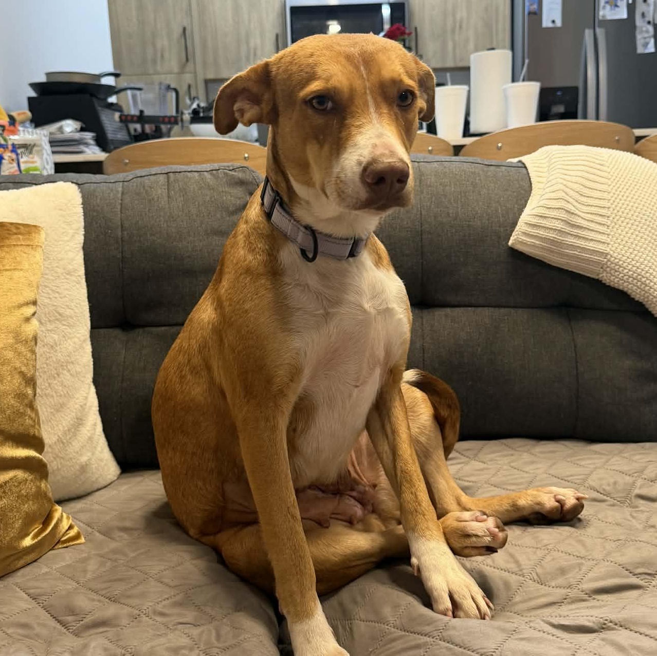 Bernadette — thumbnail 3