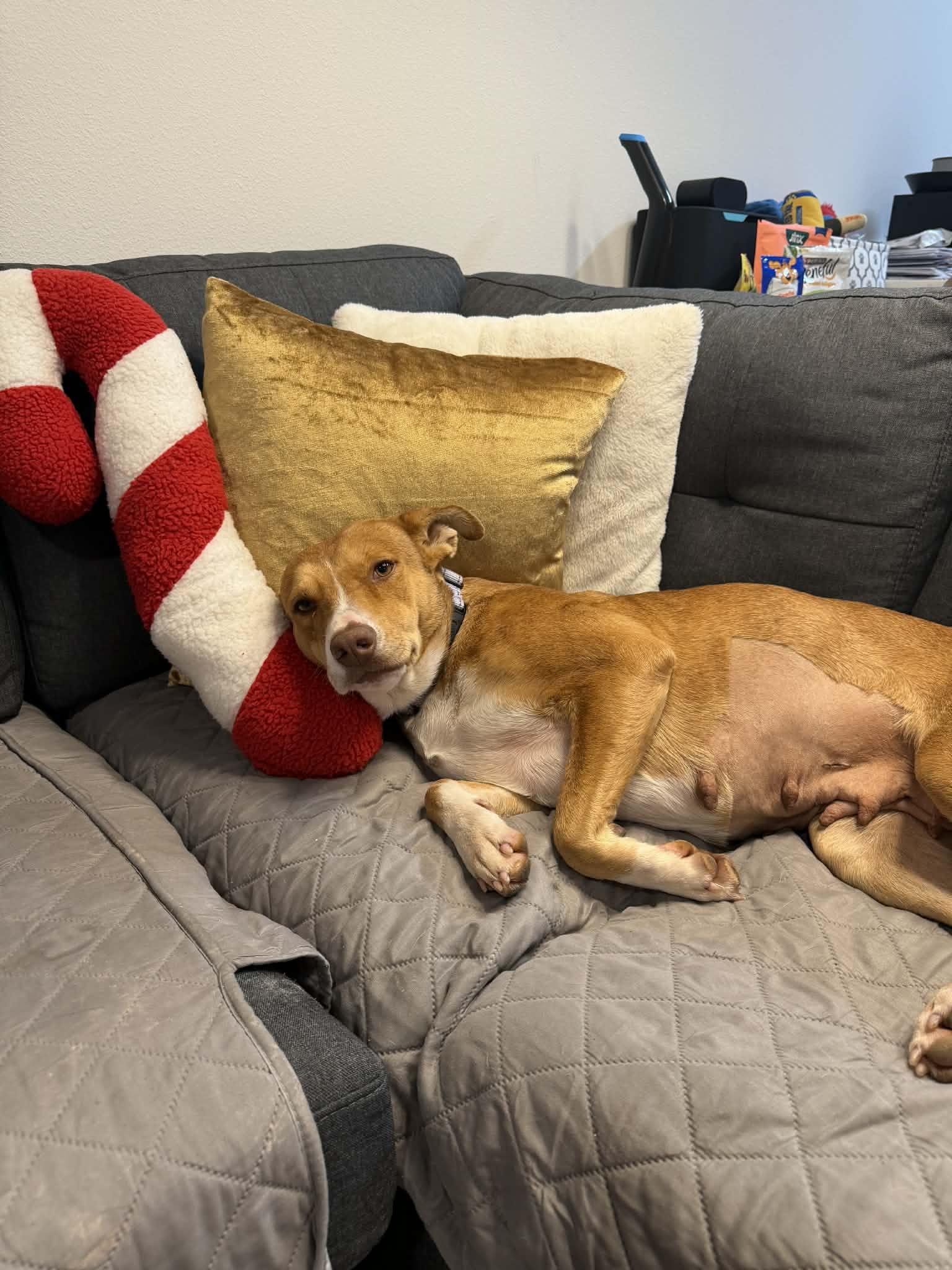 Bernadette — thumbnail 4