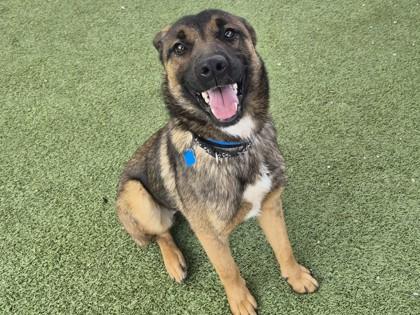 Emelio — thumbnail 2