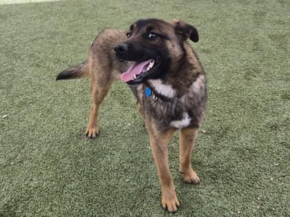 Emelio — thumbnail 3