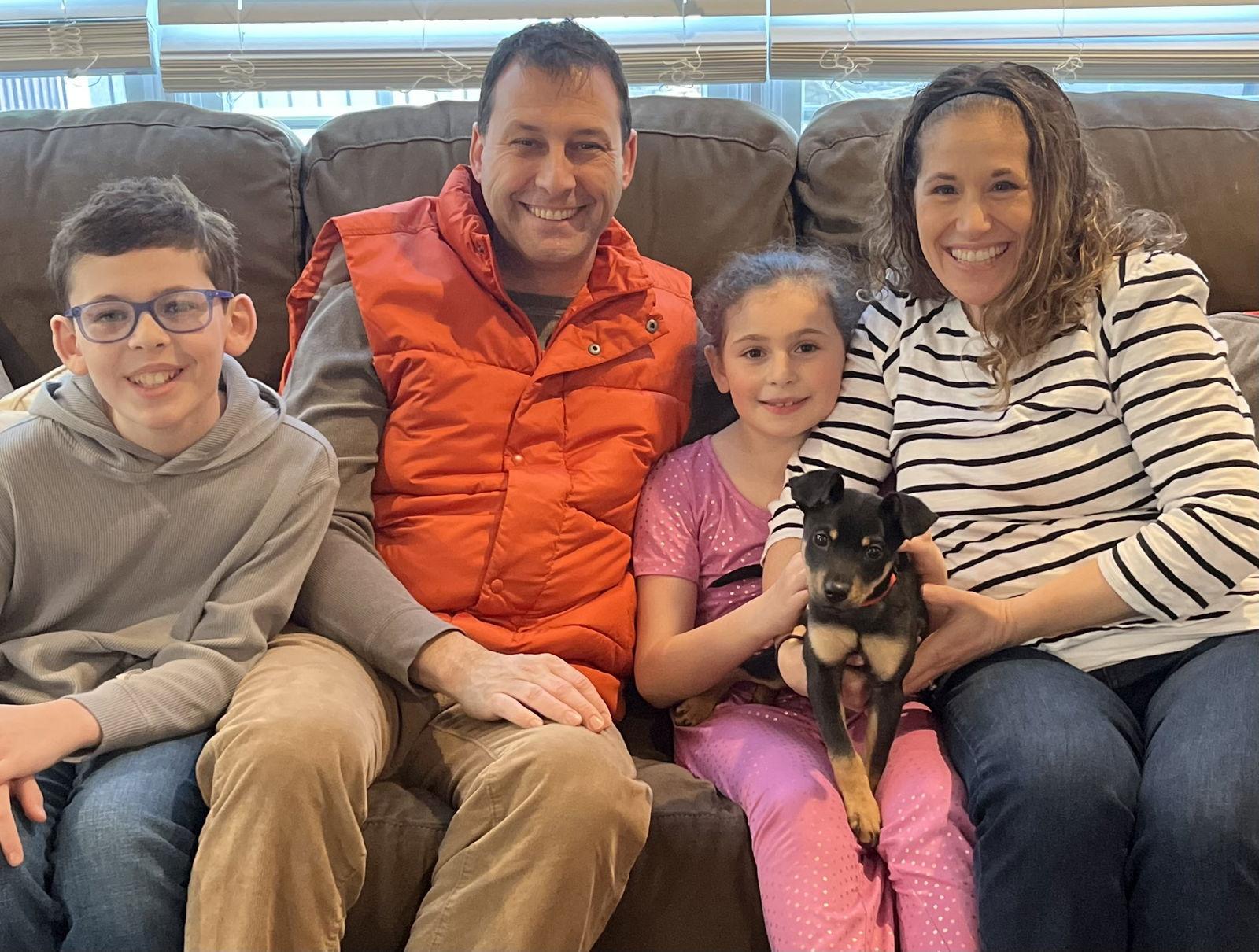 Enlarge Gumbeau, a Adopted mixed breed in Blackwood, NJ image 3/3