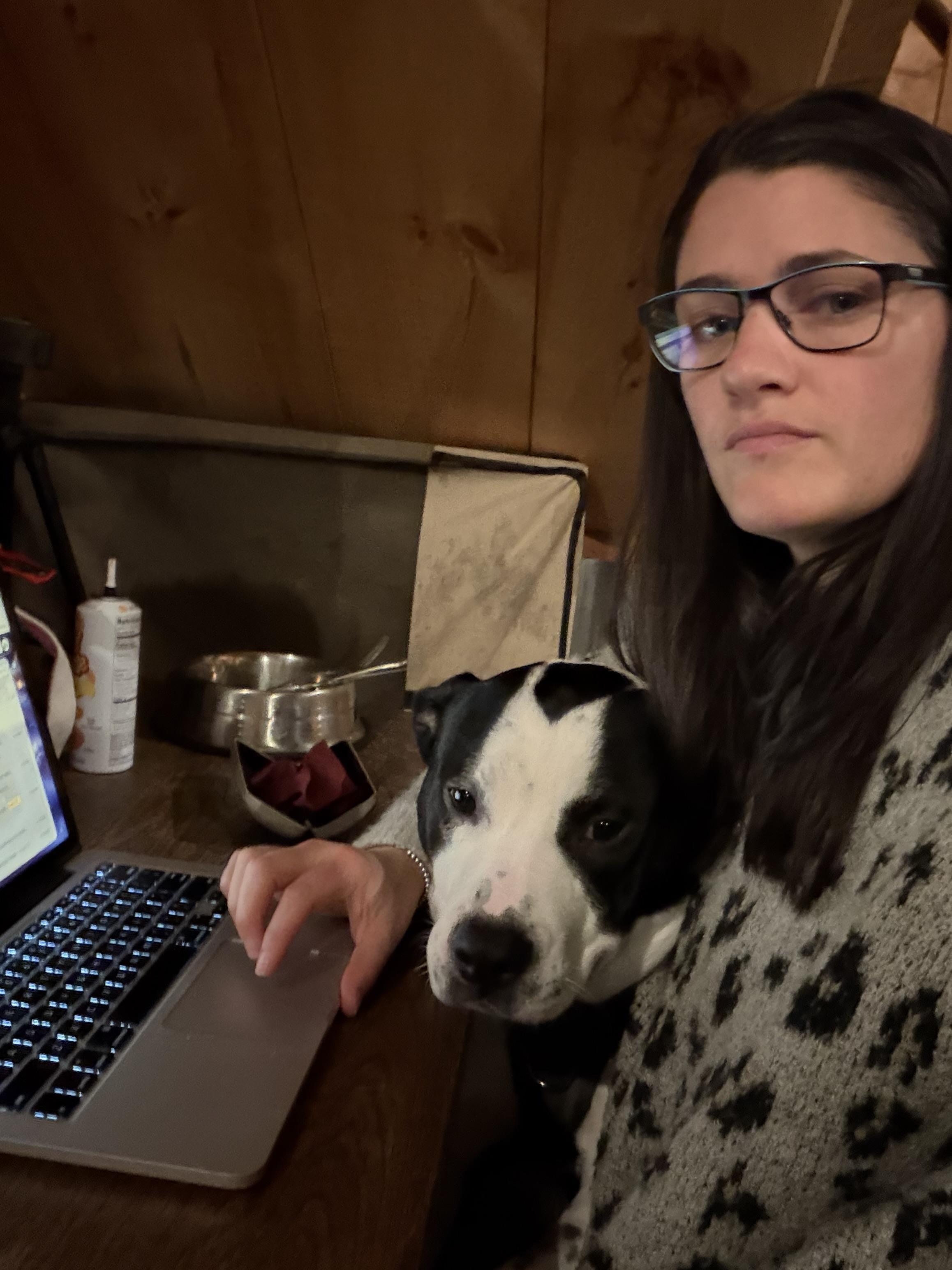 Enlarge Marino, a ADOPTABLE mixed breed in New Boston, NH image 5/5