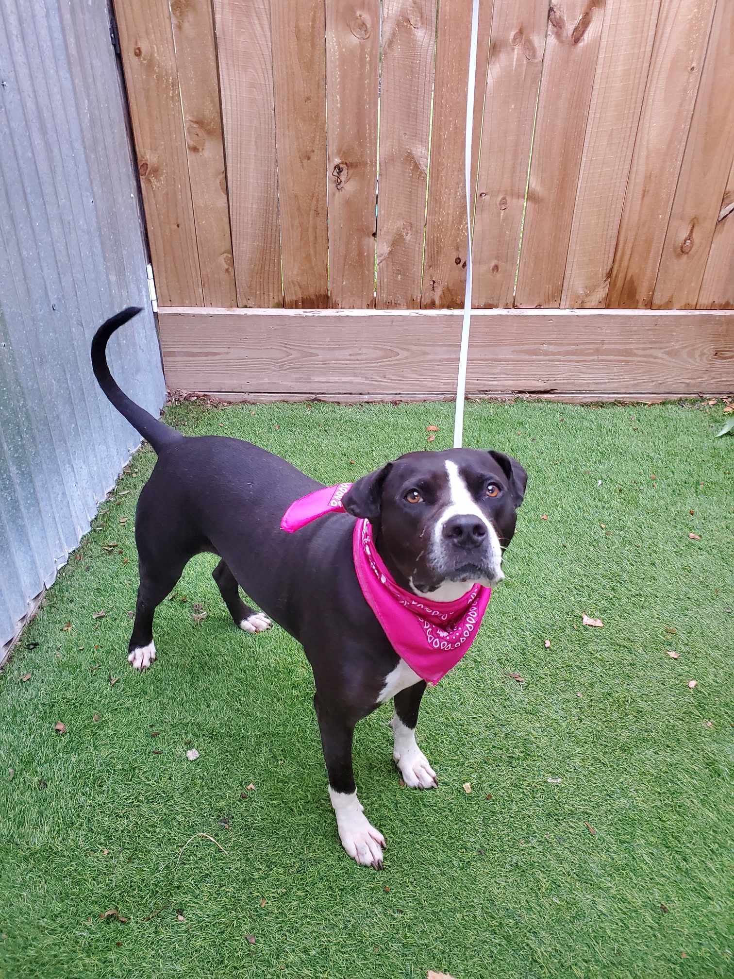 Jewel — thumbnail 2