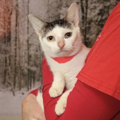 Ryo 24 — thumbnail 2