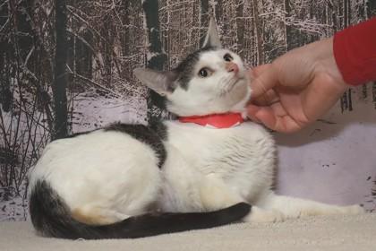 Ryo 24 — thumbnail 3