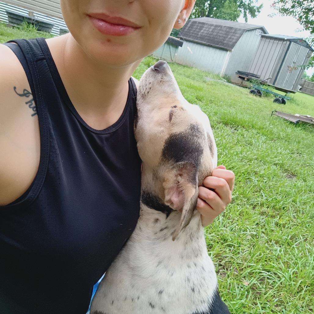 Enlarge Oliver, a Adoptable mixed breed in Batson, TX image 3/4