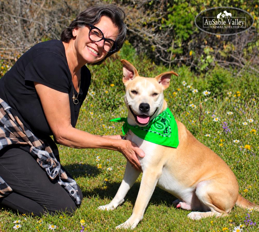 Enlarge Caramel, a Adoptable Mixed Breed in Grayling, MI image 4/6