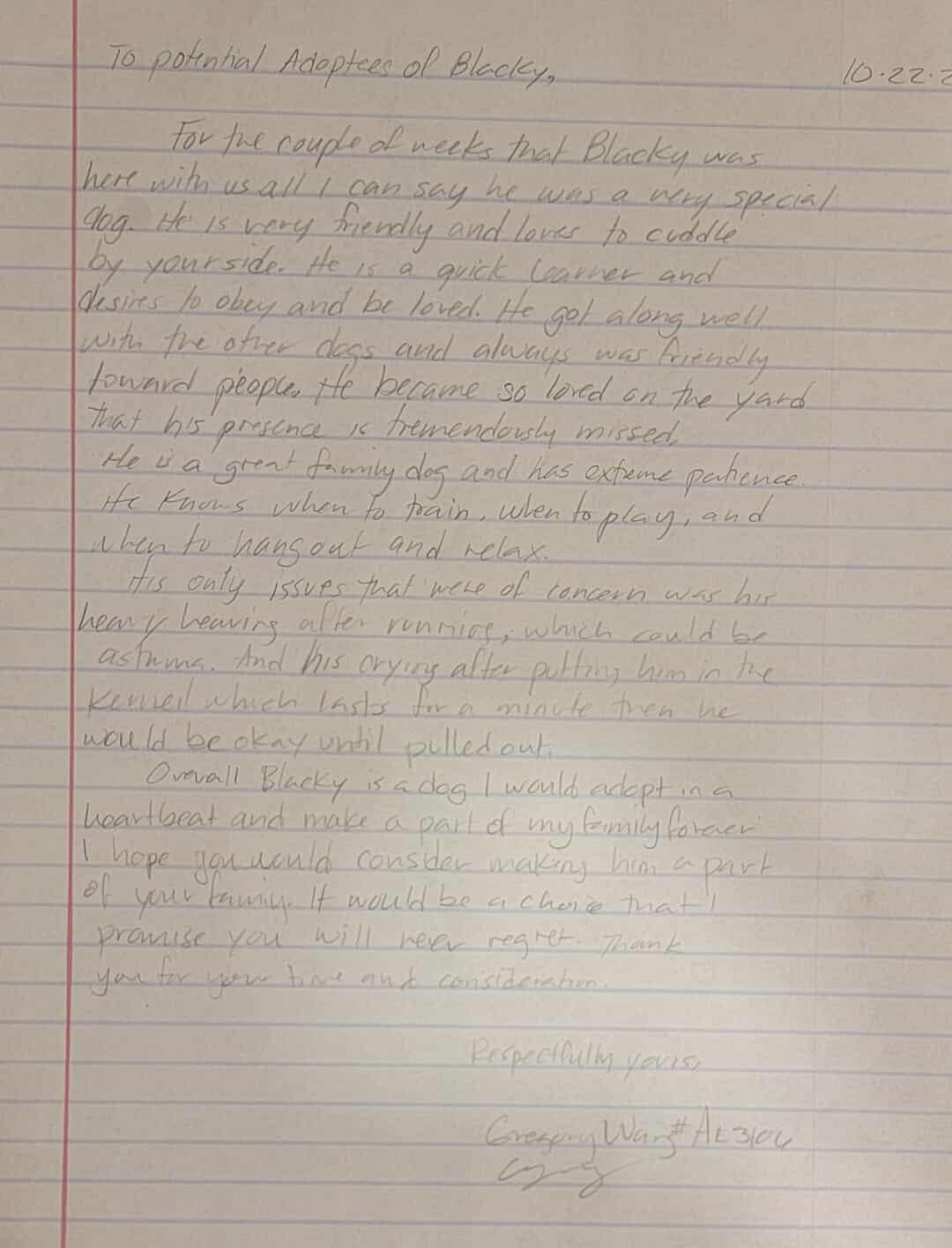 Enlarge Blacky, a Adoptable mixed breed in Visalia, CA image 2/3