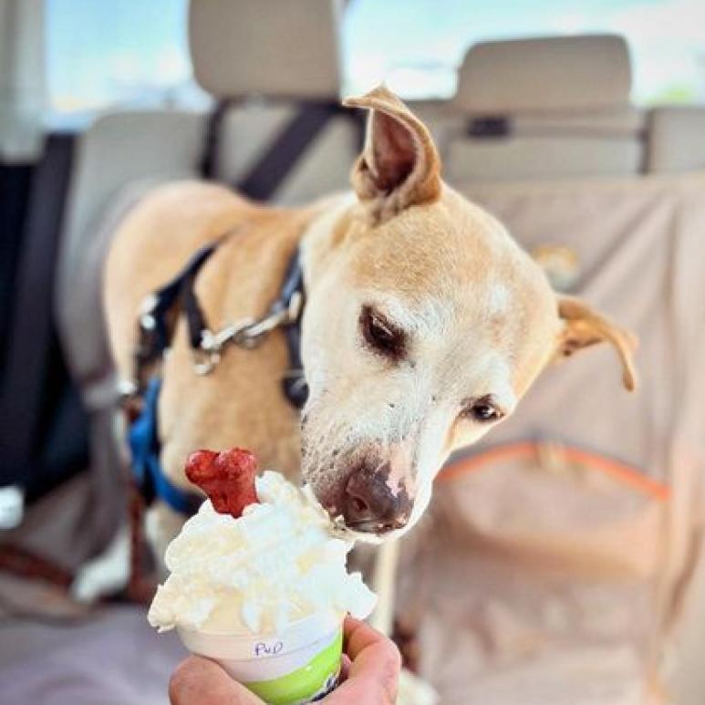 Mauve — thumbnail 3