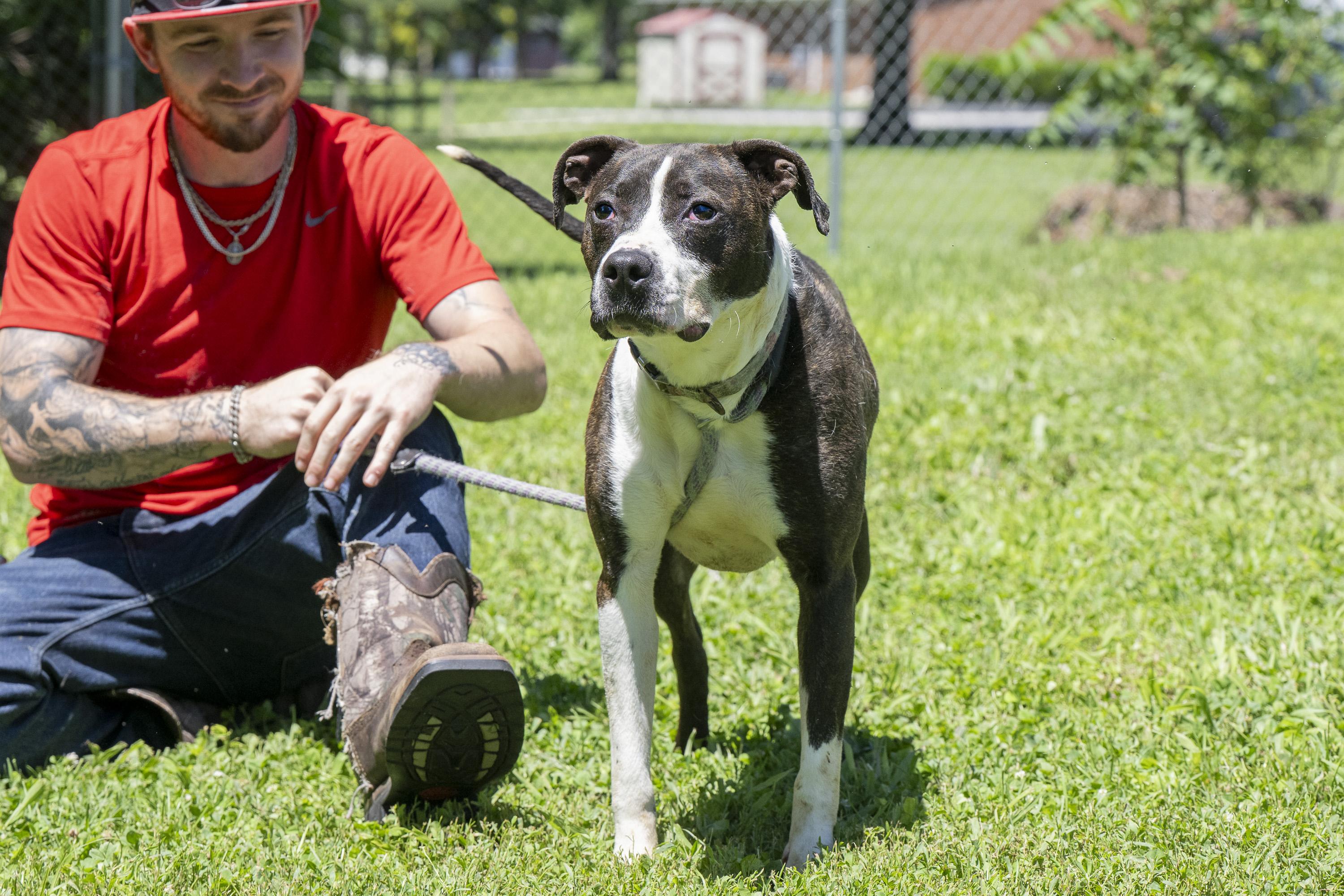 Enlarge Angel Girl, a ADOPTABLE Mixed Breed in Terre Haute, IN image 3/3