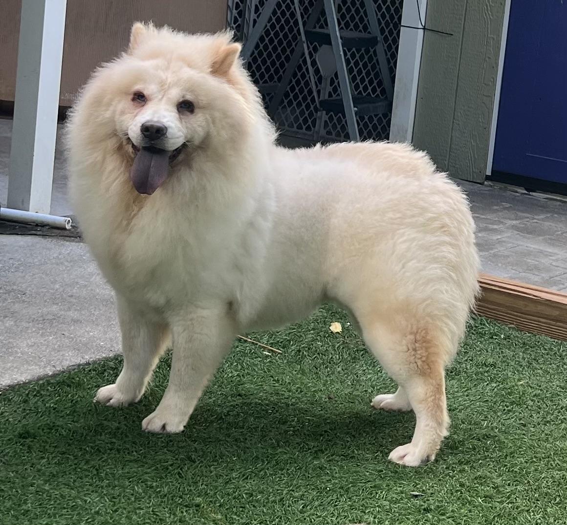 Winnie