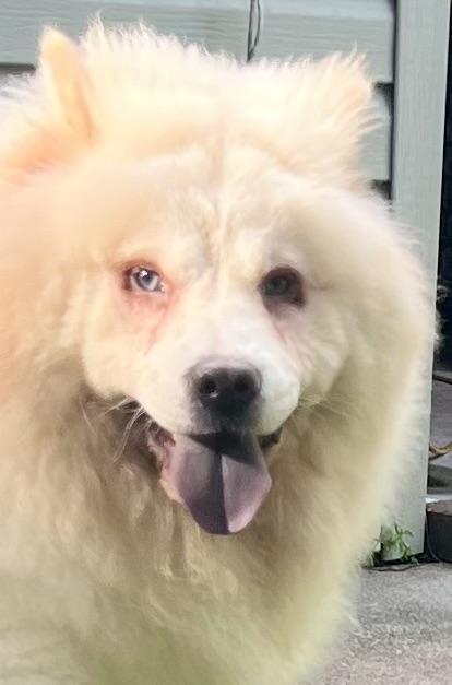 Winnie