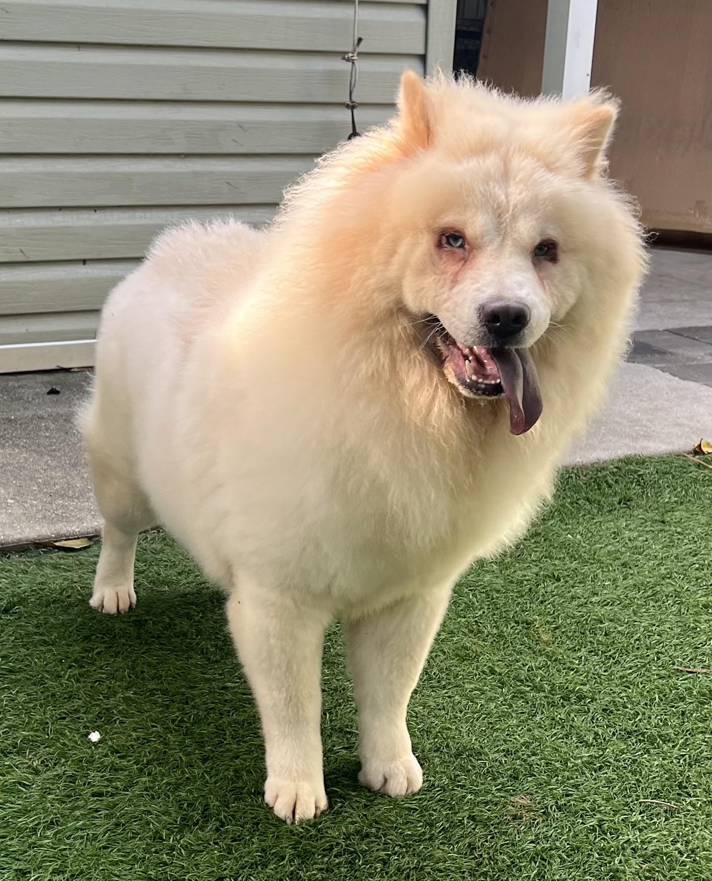 Winnie