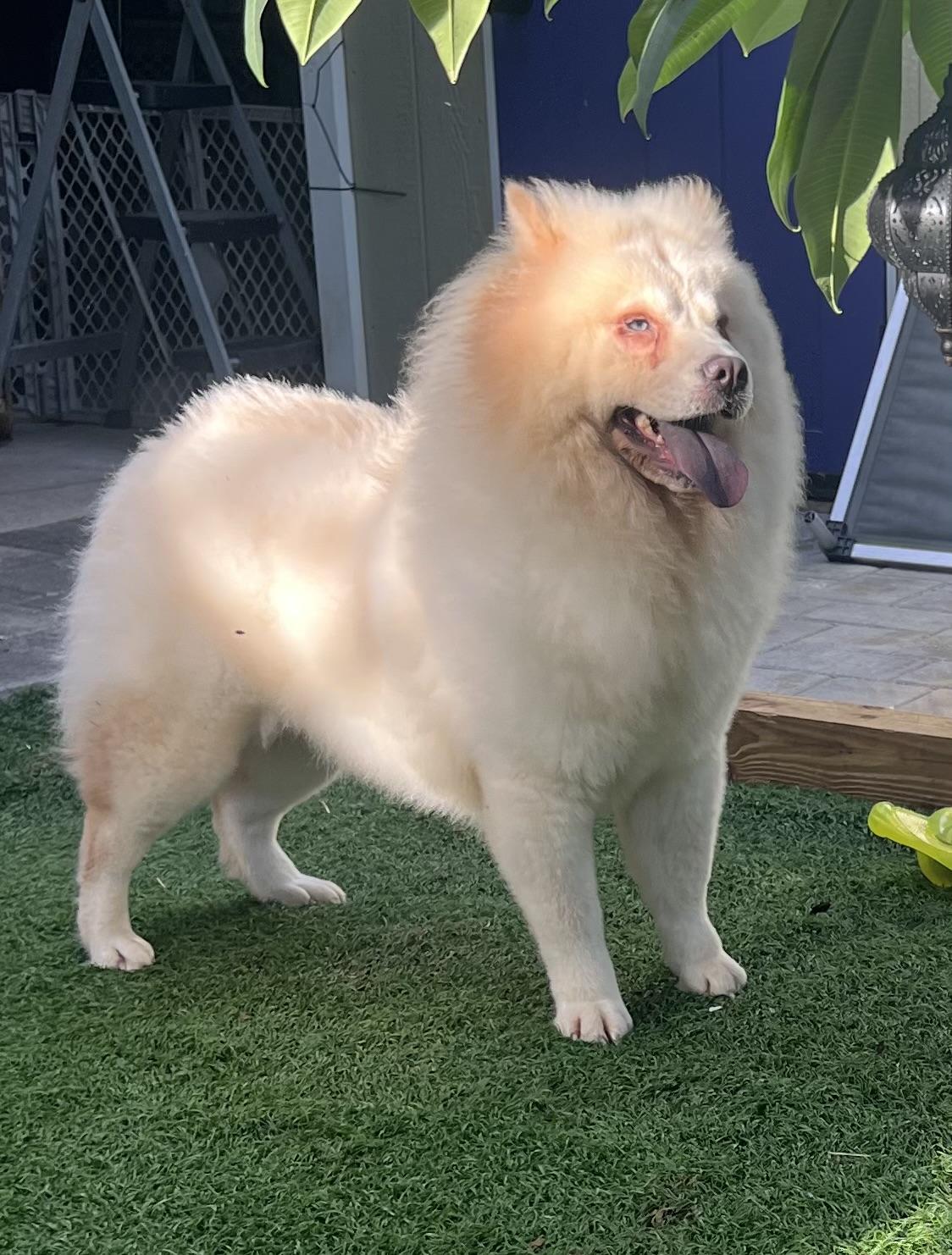Winnie