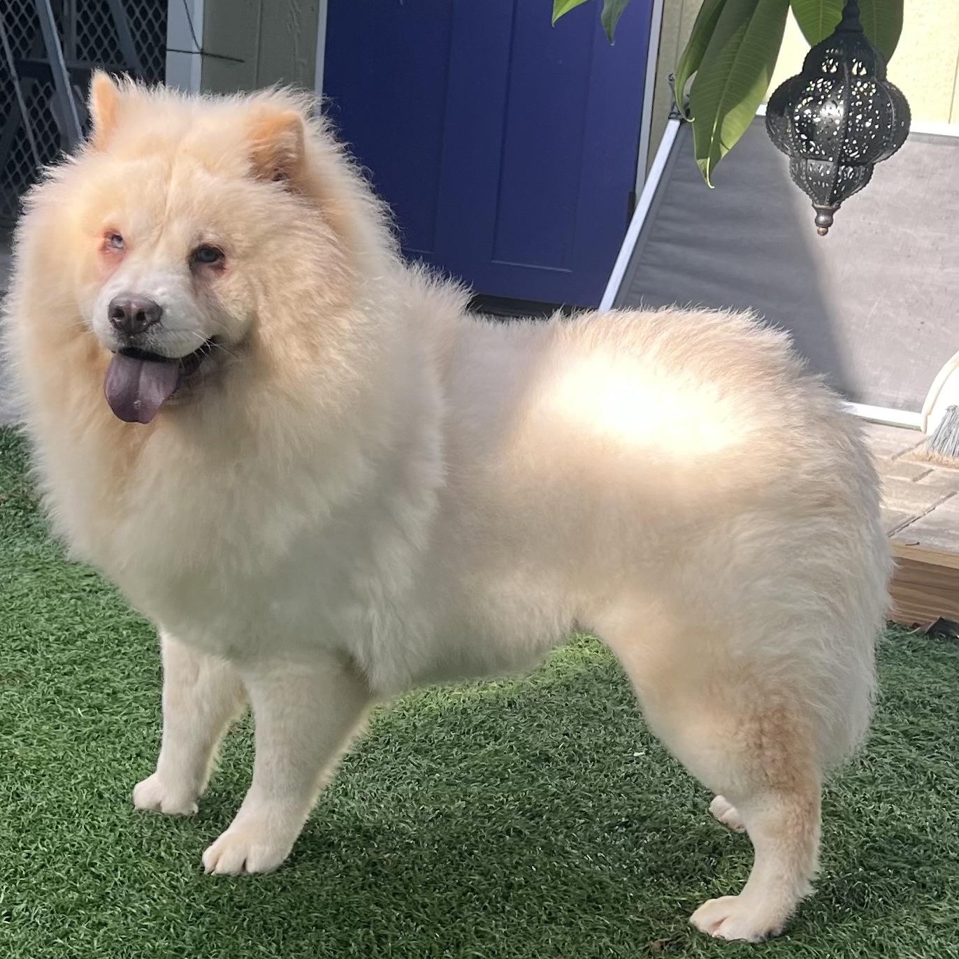 Winnie
