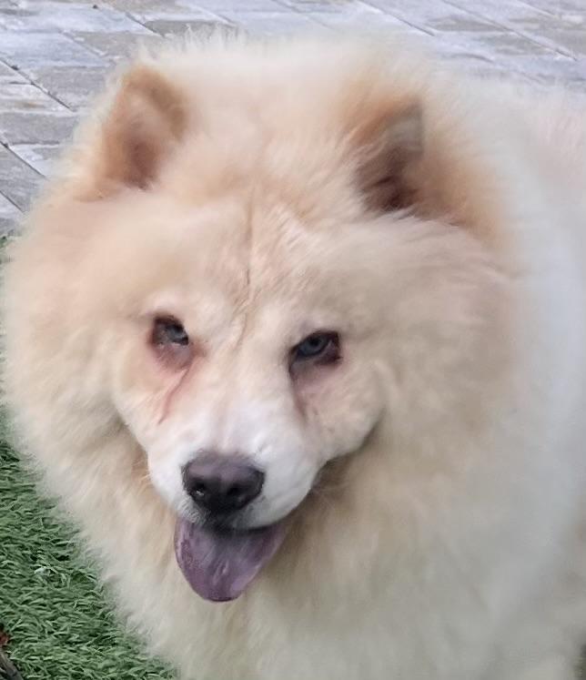 Winnie