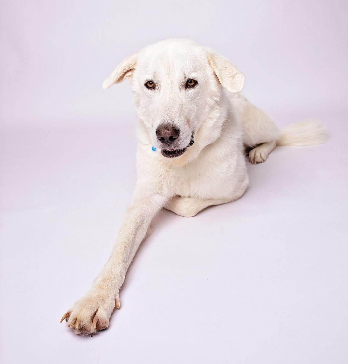 William — thumbnail 4