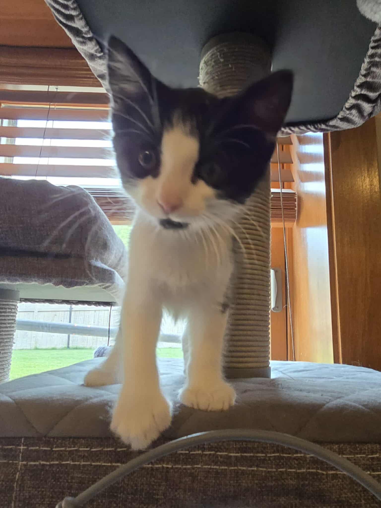 Pixel