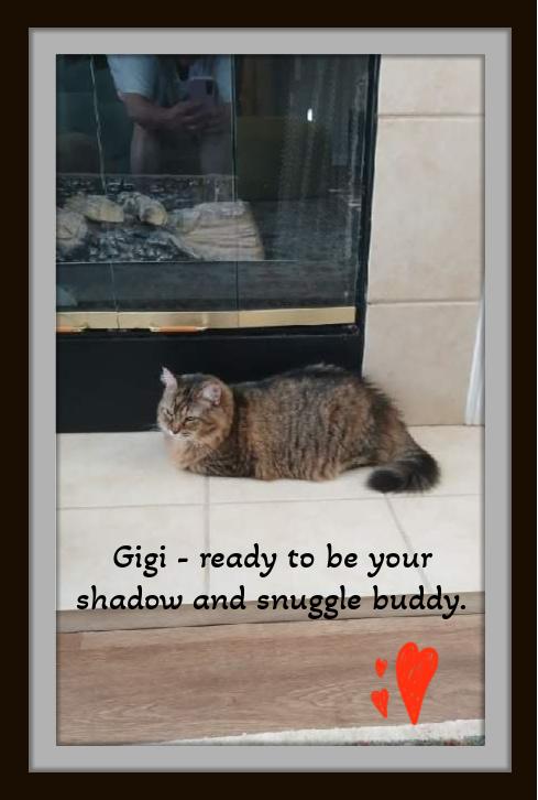 Gigi...... The Softest Soul thumbnail 3