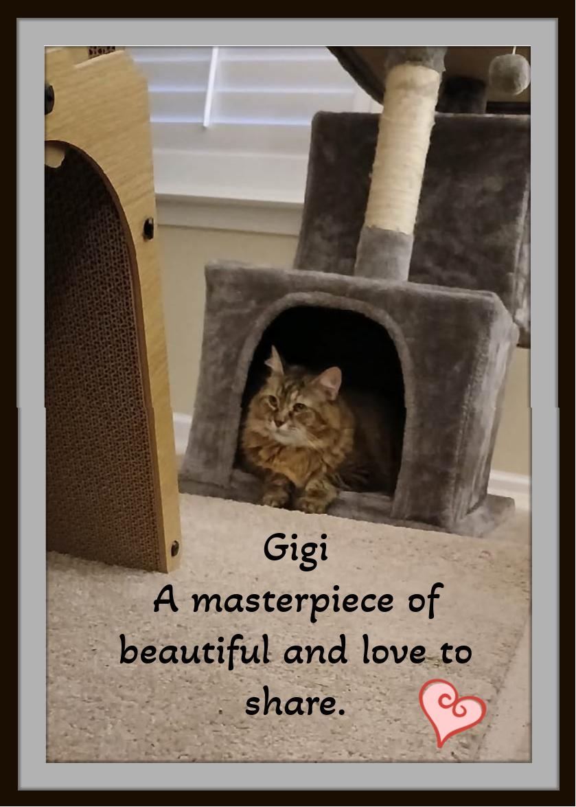 Gigi...... The Softest Soul thumbnail 5