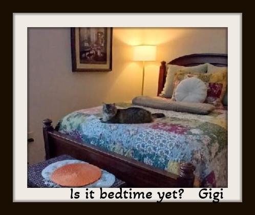 Gigi...... The Softest Soul thumbnail 4
