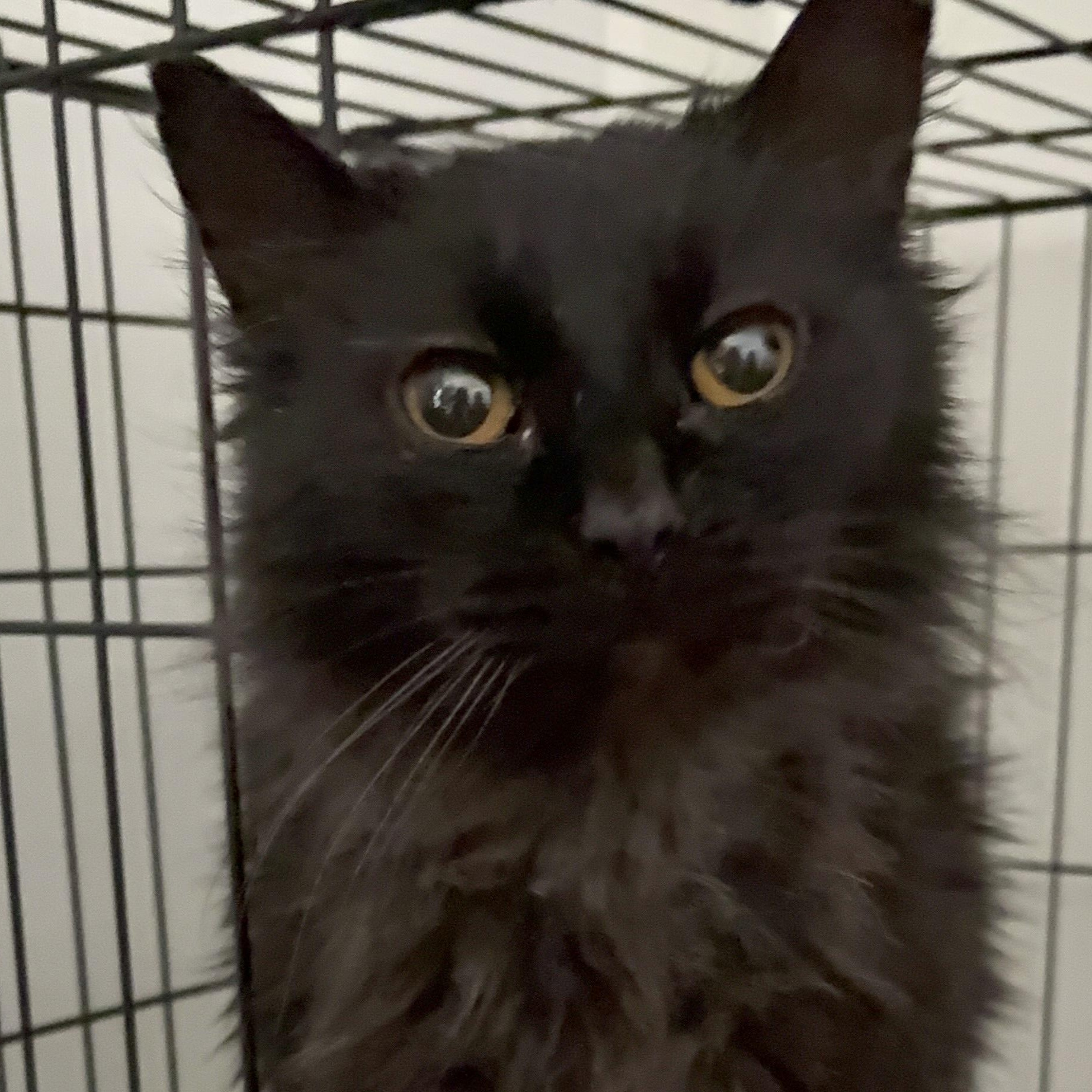 LUKE — thumbnail 2