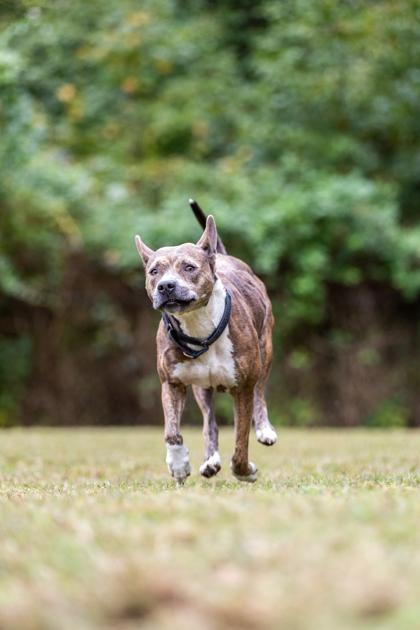 Cammi — thumbnail 2