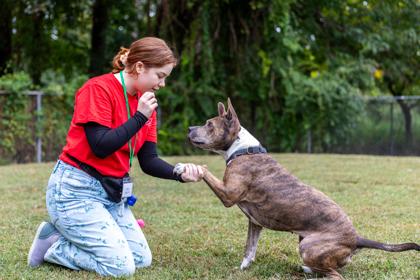 Cammi — thumbnail 3