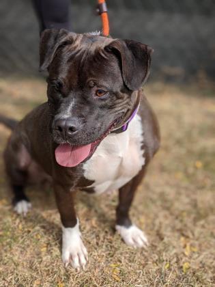 John Mcclane thumbnail 2