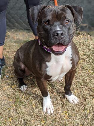 John Mcclane thumbnail 3