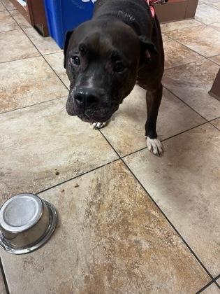 John Mcclane thumbnail 4