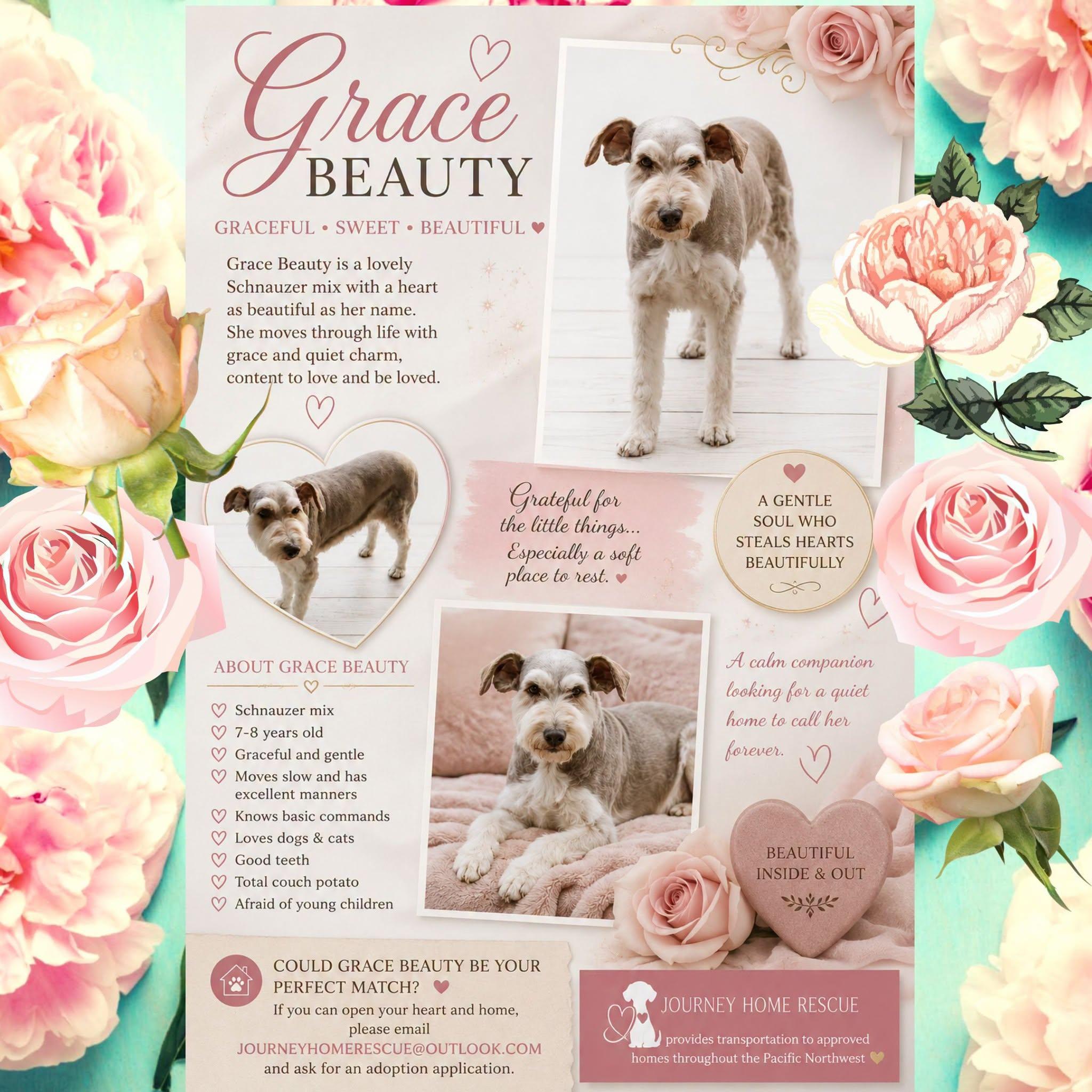 Enlarge Grace Beauty, a ADOPTABLE mixed breed in East Wenatchee, WA image 1/1