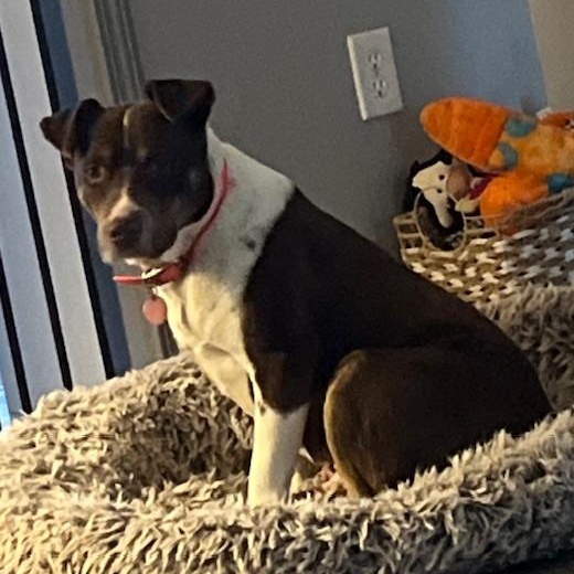 Mitzi - watch new video!