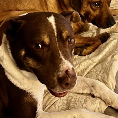 Mitzi  Watch New thumbnail 5